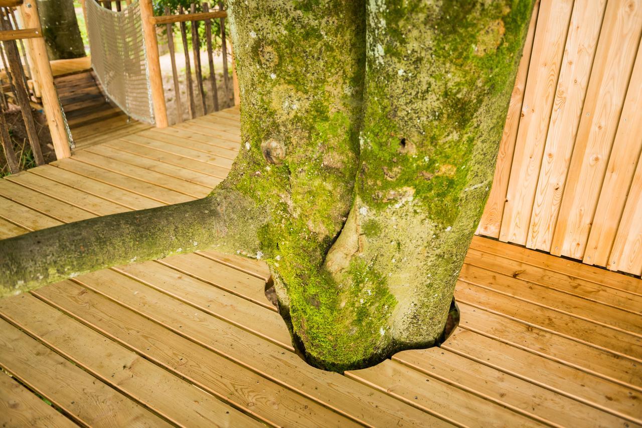 Bed and Breakfast Tierpark Buchenberg à Waidhofen an der Ybbs Extérieur photo